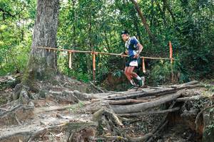 BIB: 
                            <button type="button" onclick="openModal(27802885)" class="btn btn-primary btn-sm float-right btn-popup" data-toggle="modal" data-target=".modal-high-quality">
                        <i class="fas fa-shopping-cart"></i> Add to Cart
                    </button>
                                            <button type="button" onclick="isThisMe(27802885, true)" class="btn btn-success btn-sm float-right btn-popup btn-isme hidden" data-toggle="tooltip" data-placement="bottom" title="นี่คือรูปของคุณใช่ไหม คลิกที่นี่เพื่อเอาเข้าอัลบั้ม">
                        <i class="fas fa-plus"></i> Add to album
                    </button>
                    <button type="button" onclick="isThisMe(27802885, false)" class="btn btn-warning btn-sm float-right btn-popup btn-isnotme hidden">
                        <i class="fas fa-ban"></i> Remove from album
                    </button>